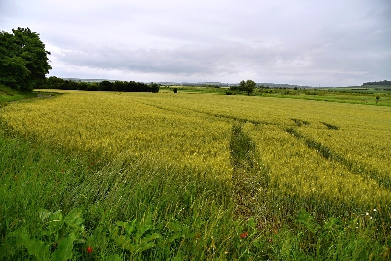 Ostrůvek